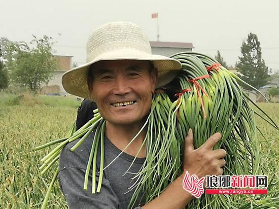 蒜薹市场价格走势最新分析