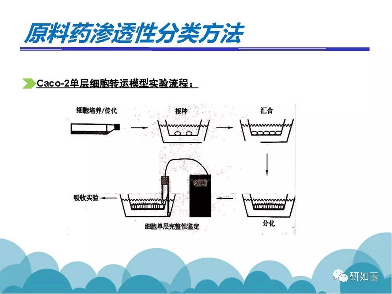 第438页